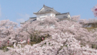 津山城（鶴山公園）