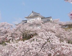 津山城（鶴山公園）