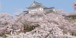 津山城（鶴山公園）